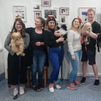 Dr Paws North Ryde – Puppy Peschool Fun (3) Puppy preschool graduates North Ryde